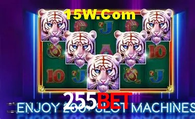 Experiência VIP 255Bet