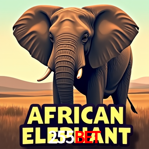 255Bet.Com