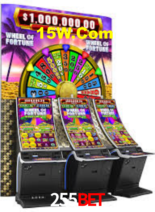 255Bet App Interface